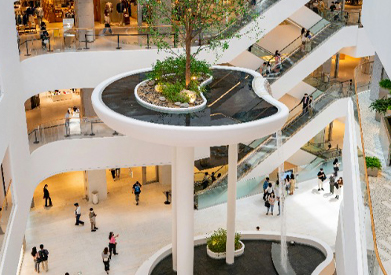 Stores, Shops & Outlets